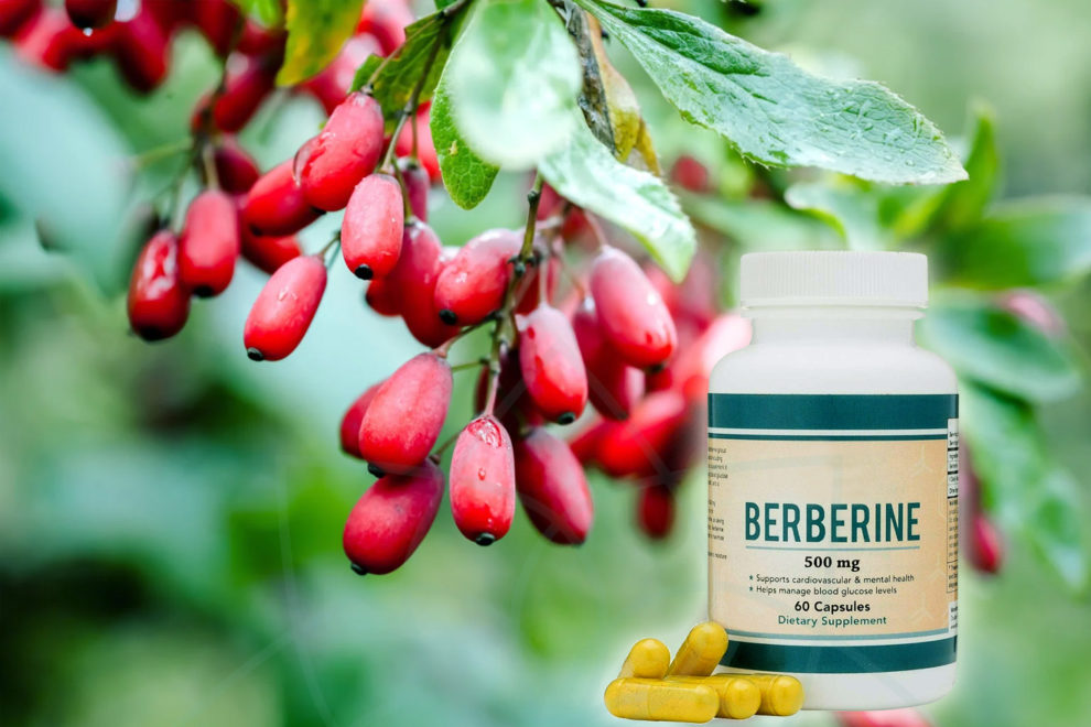 Berberina, suplemento anti-diabetes